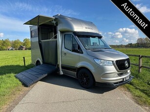 Mercedes-Benz Sprinter 317 AMG 2-paards paardenvrachtwagen