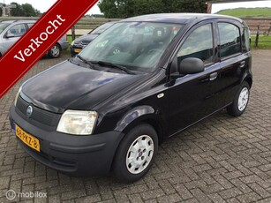 Fiat Panda 1.2 Actual