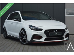 Hyundai i30 2.0 T-GDI N1 Performance