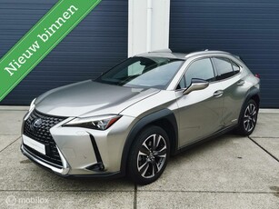 Lexus UX 250h AWD Executive Line Mark-Levinson Schuifdak