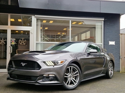 Ford Mustang Fastback 2.3 EcoBoost CAMERA / STOELVERKOELING