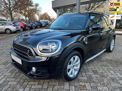 Mini Mini Countryman 2.0 Cooper S Chili, Panodak