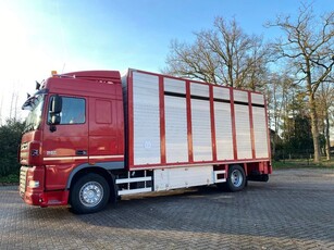 DAF XF 105 Livestock veewagen 1 stock (bj 2012)