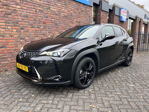 Lexus UX 250h Midnight Camera Leder