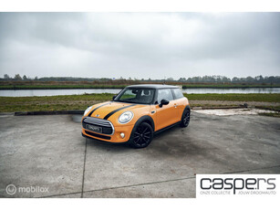 Mini 1.5 Cooper Chili | PANO | LEDER