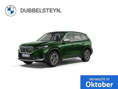 BMW X1 Benzine