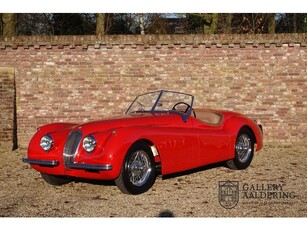 Jaguar XK120 OTS Lovely condition, rare Open Top Speedster