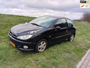 Peugeot 206 1.4i XS Sportuitlaat LM Velgen El. Ramen