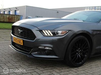 Ford Mustang Fastback 2.3 EcoBoost AUTOMAAT / NAVI / LEDER /