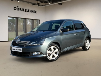 Škoda Fabia 1.2 TSI JOY | 12 maanden garantie |