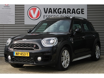 Mini Countryman Benzine