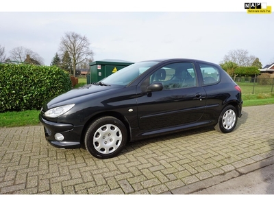 Peugeot 206 Benzine