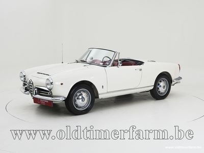 Alfa Romeo 1600 Giulia Spider '65 CH6255