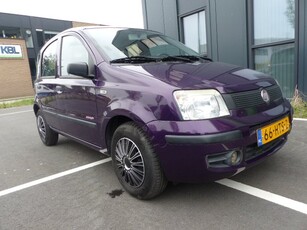 Fiat Panda 1.1 Actual