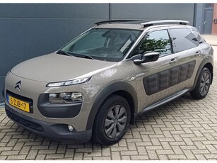 Citroen C4 Cactus 1.6 BlueHDi Business Camera Panorama Leer