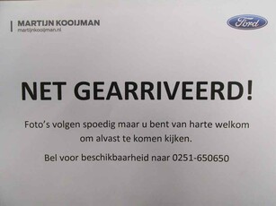 Ford Puma 1.0i Ecoboost Hybrid 125pk Titanium X, Winterpack, Trekhaak