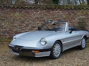 Alfa Romeo SPIDER 2.0 Quadrifoglio Verde 