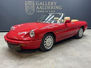 Alfa Romeo Spider 2.0 Type 4 - ONLINE AUCTION