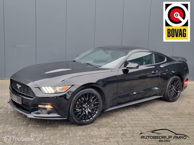 Ford Mustang Fastback 2.3 EcoBoost AUTOMAAT / NAVI / LEDER