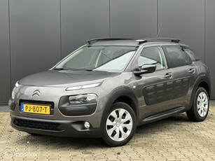 Citroen C4 Cactus 1.2 PureTech Business Plus | CRUISE | NAVI |