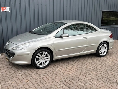 Peugeot 307 Benzine