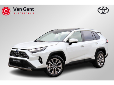 Toyota RAV4 2.5 Hybrid AWD Executive Schuifdak-Premium Pack