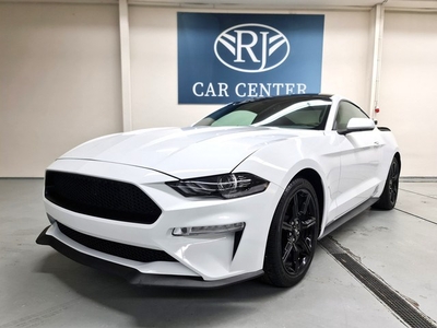 Ford USA Mustang Fastback GT 2.3 EcoBoost Automaat