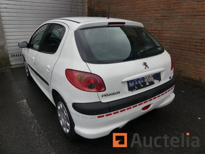 Auto Peugeot 206 (2004-104)