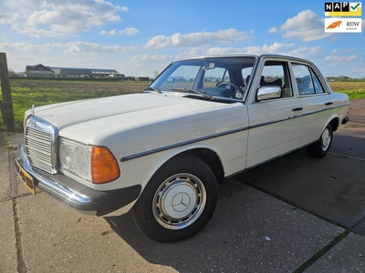 Mercedes-Benz 200-280 (W123) 300 D 5 cyl./ OLDTIMER/