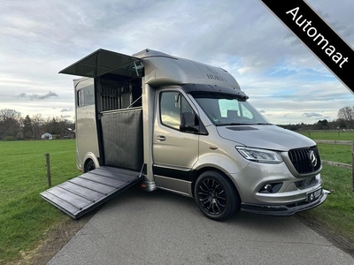 Mercedes-Benz Sprinter 315 AMG 2-paards paardenvrachtwagen