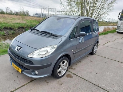 Peugeot 1007 1.6-16V Gentry (bj 2005)