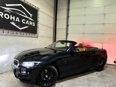 BMW 2-serie Cabrio 220i AUT. High Executive M-Pakket Volle Jongen