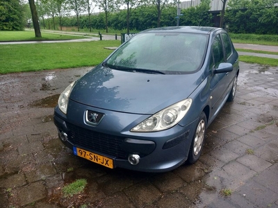 Peugeot 307 1.6-16V XT