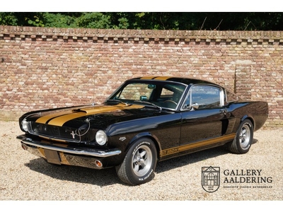 Ford Mustang Fastback Shelby GT 350-