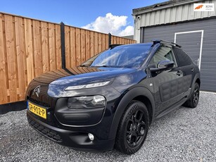 Citroen C4 Cactus 1.2 PureTech Business Camera Stoelverw.