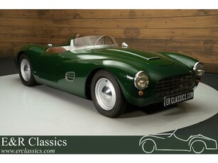 Fiat 1100 Barchetta Zeldzame racer Goede staat 1956