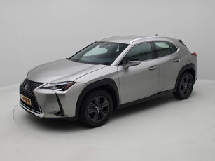 Lexus UX 250h Business Line Camera /Navi (bj 2020)