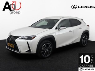 Lexus UX 250h Business Line Stoelverwarming