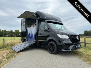 Mercedes-Benz Sprinter 315 AMG 2-paards paardenvrachtwagen