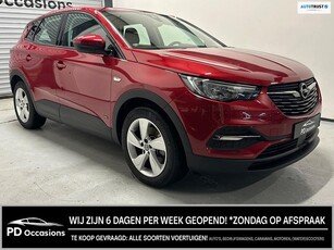 Opel Grandland 1.6 Turbo Plug-in Hybrid Elegance Camera