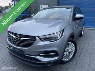 Opel Grandland X 1.2 Turbo / 1ste eigenaar / 2018 / zeer