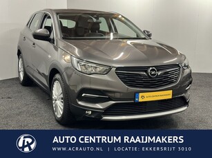 Opel Grandland X 1.2 Turbo Business Edition 10 op Voorraad