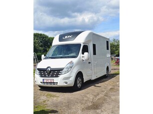 Renault Master T35 2.3 dCi L3H3 PAARDENWAGEN STX