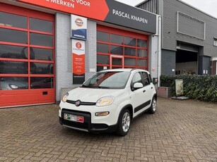 Fiat Panda 1.0 Mild-hybride City Life