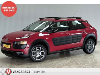 Citroën C4 Cactus 1.6 BlueHDi Shine/