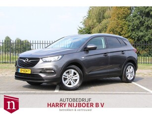 Opel Grandland X 1.2 Turbo Business+ Camera / Trekhaak /