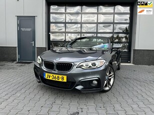 BMW 2-serie Cabrio 220i M Sport automaat 1 ste eigenaar met