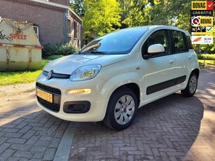 Fiat Panda 1.2 Edizione Cool