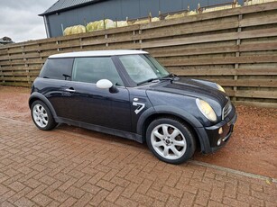 Mini Mini 1.6 One Seven Salt