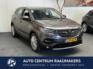 Opel Grandland X 1.2 Turbo Business Edition 10 op Voorraad